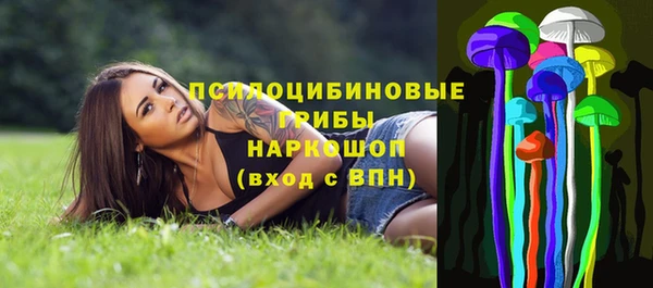 тгк Арсеньев