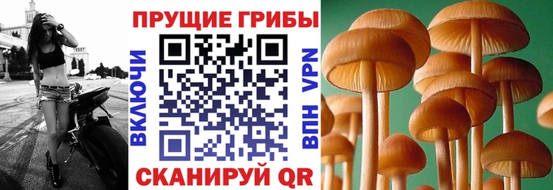 Псилоцибиновые грибы ЛСД  Купить где  Усть-Илимск 